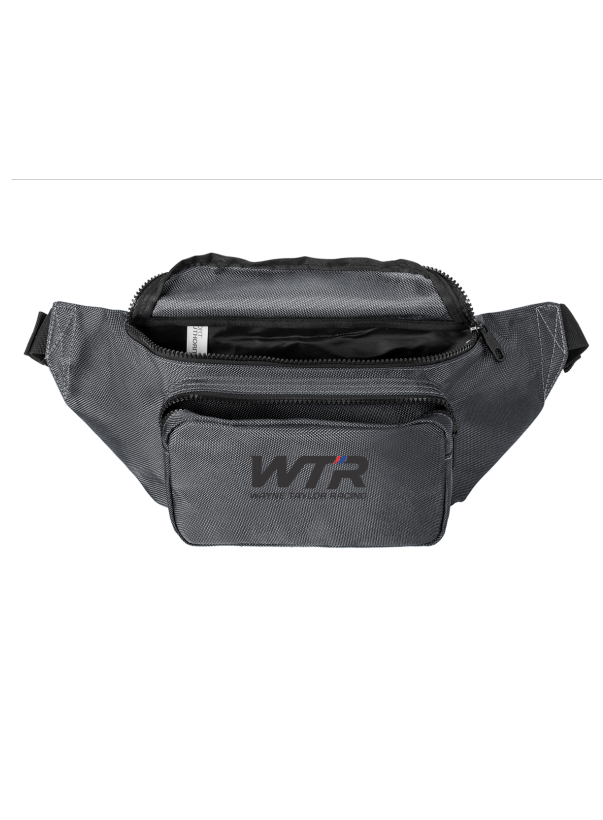 2025 Crossbody Sling Bag or Hip Pack